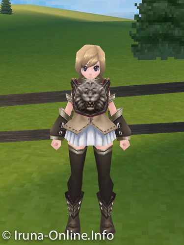 item_image_Asad Plate