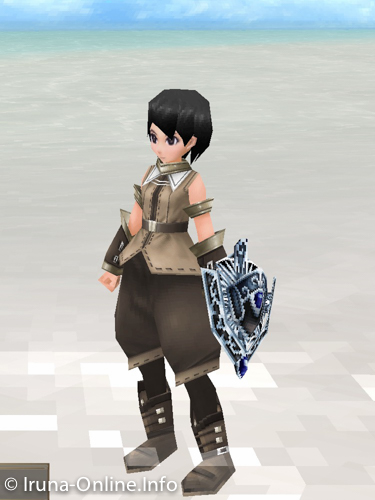 item_image_Freeze Shield