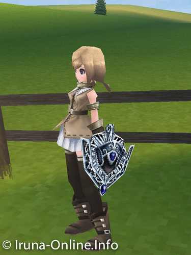 item_image_Freeze Shield