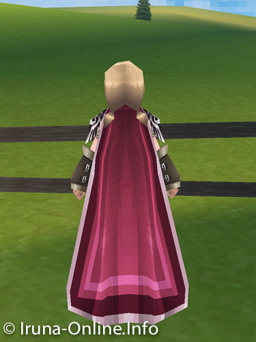 item_image_Mage Fighter Cloak