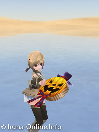 item_image_Pumpkin Book