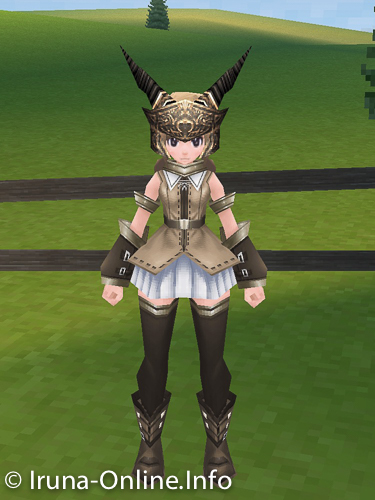 item_image_Stier
